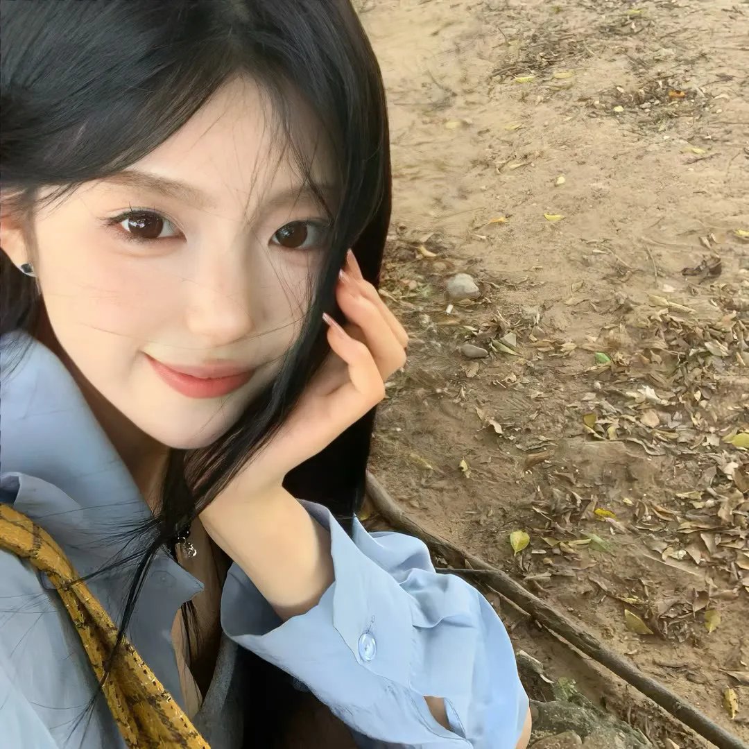 月陨回声